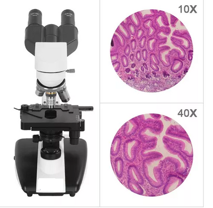 MICROSCOPIO BINOCULAR BASICO 40X - 1000X